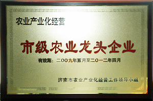 俄罗斯专享会294VIP(中国区)官方网站