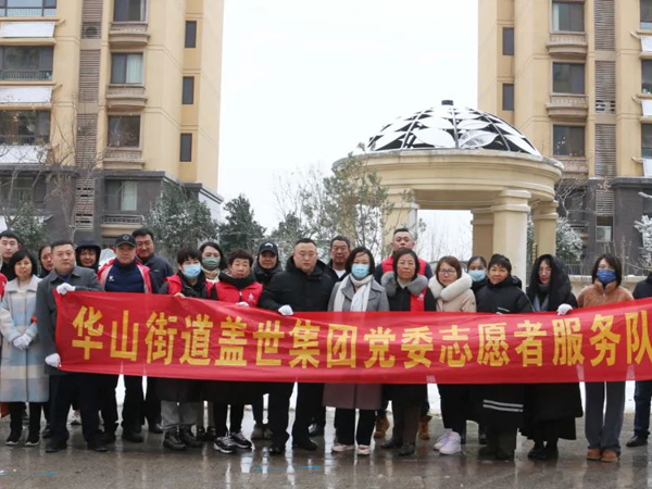 党建赋能，俄罗斯专享会294VIP集团党委党员自愿服务在行动